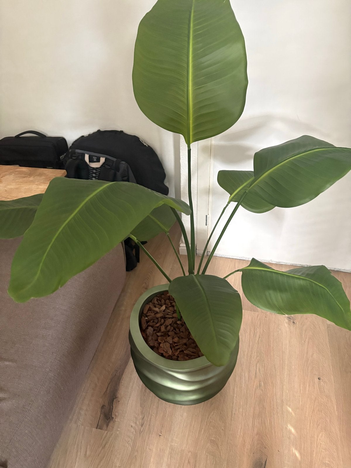Grote kunstplant Strelitzia Nicolai (Paradijsvogelplant), Ophalen, Binnen, Kunstplant, Kunststof