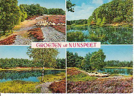 Ansichtkaart	Nunspeet	4-luik, Verzenden, 1960 tot 1980, Gelopen, Gelderland