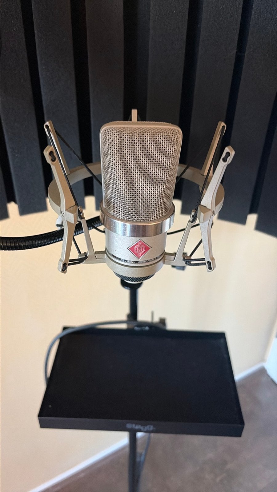Neumann TLM 102 met bon van bax music, Muziek en Instrumenten, Ophalen of Verzenden, Zo goed als nieuw, Studiomicrofoon