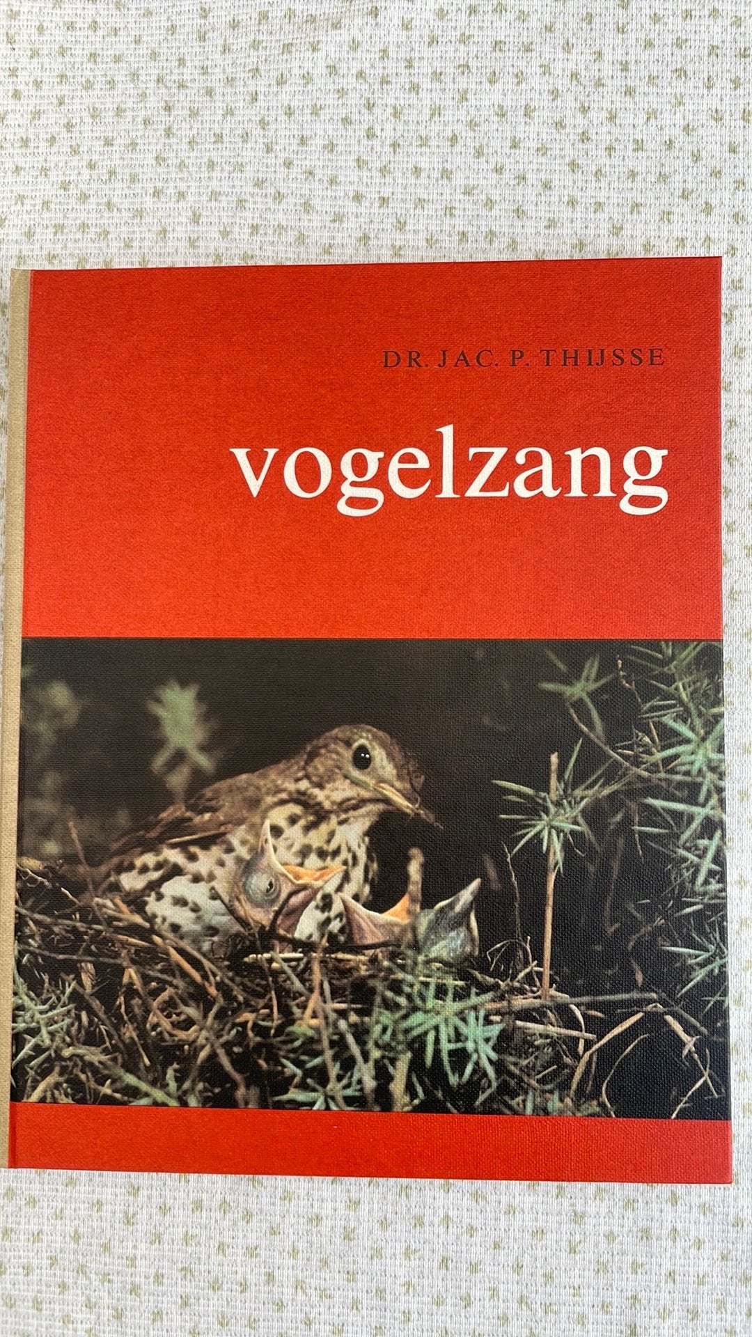 Vogelzang, Ophalen of Verzenden, Nieuw, Vogels