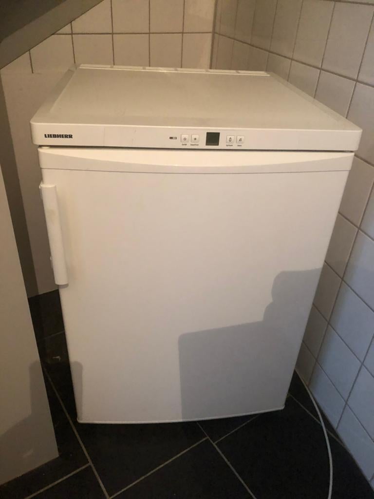 Diepvries Liebherr GP 1486-21, Witgoed en Apparatuur, Vriezers en Diepvrieskisten, Zo goed als nieuw, Ophalen, Vrieskast, 85 tot 120 cm