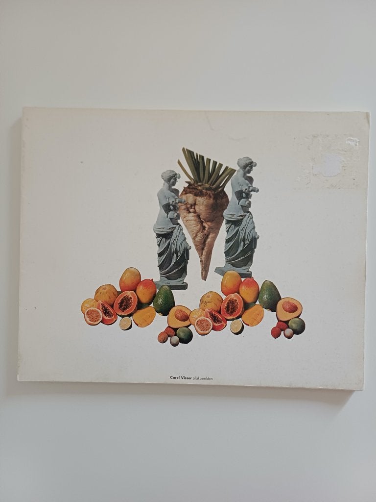 Museum catalogus: Carel Visser; Plakbeelden Groninger Museum, Ophalen of Verzenden, Gelezen