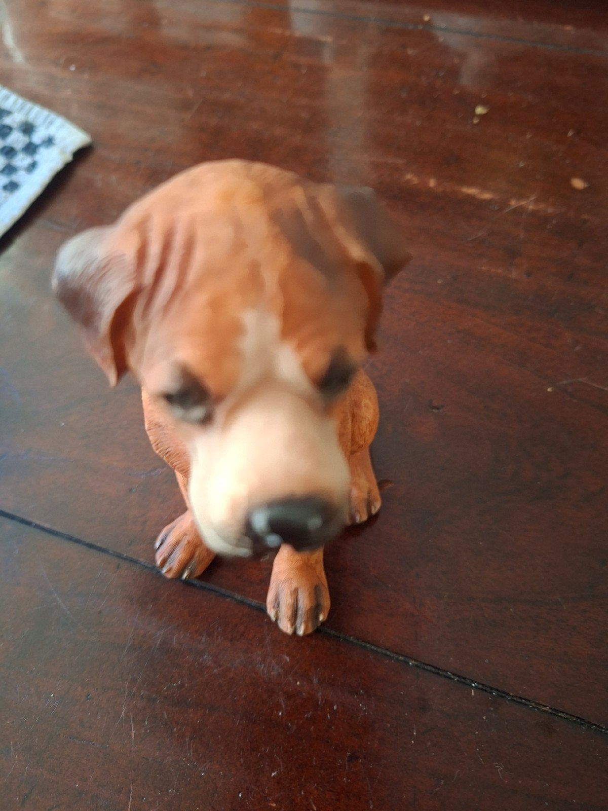 Boxer hond beeldje - Decoratief en levensecht, Ophalen, Gebruikt, Dier