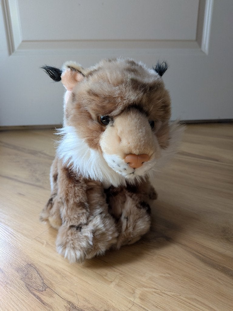 knuffel, Ophalen of Verzenden, Zo goed als nieuw, Kat