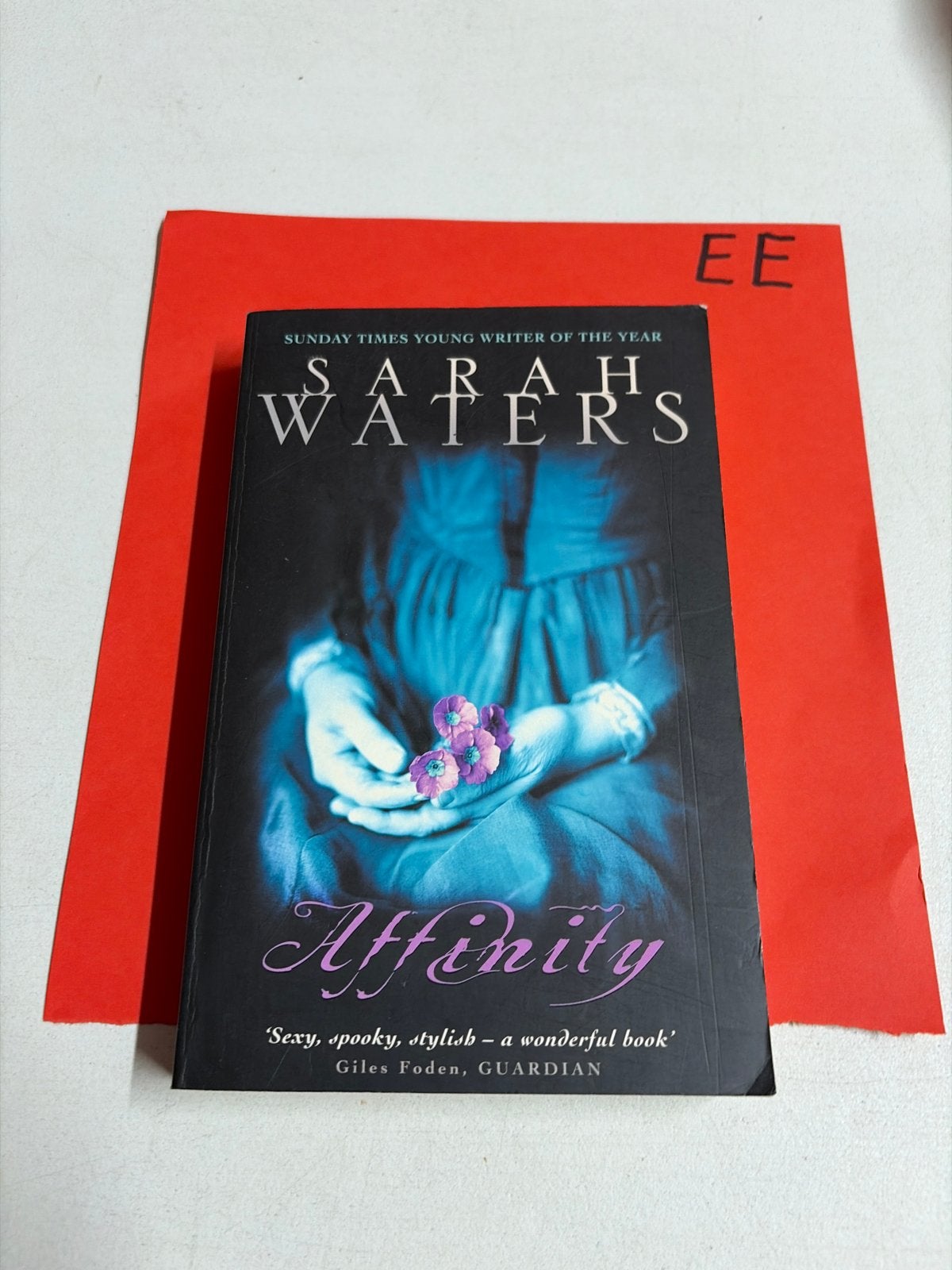 Affinity - Sarah Waters (Engels), Ophalen of Verzenden, Gelezen, Europa overig