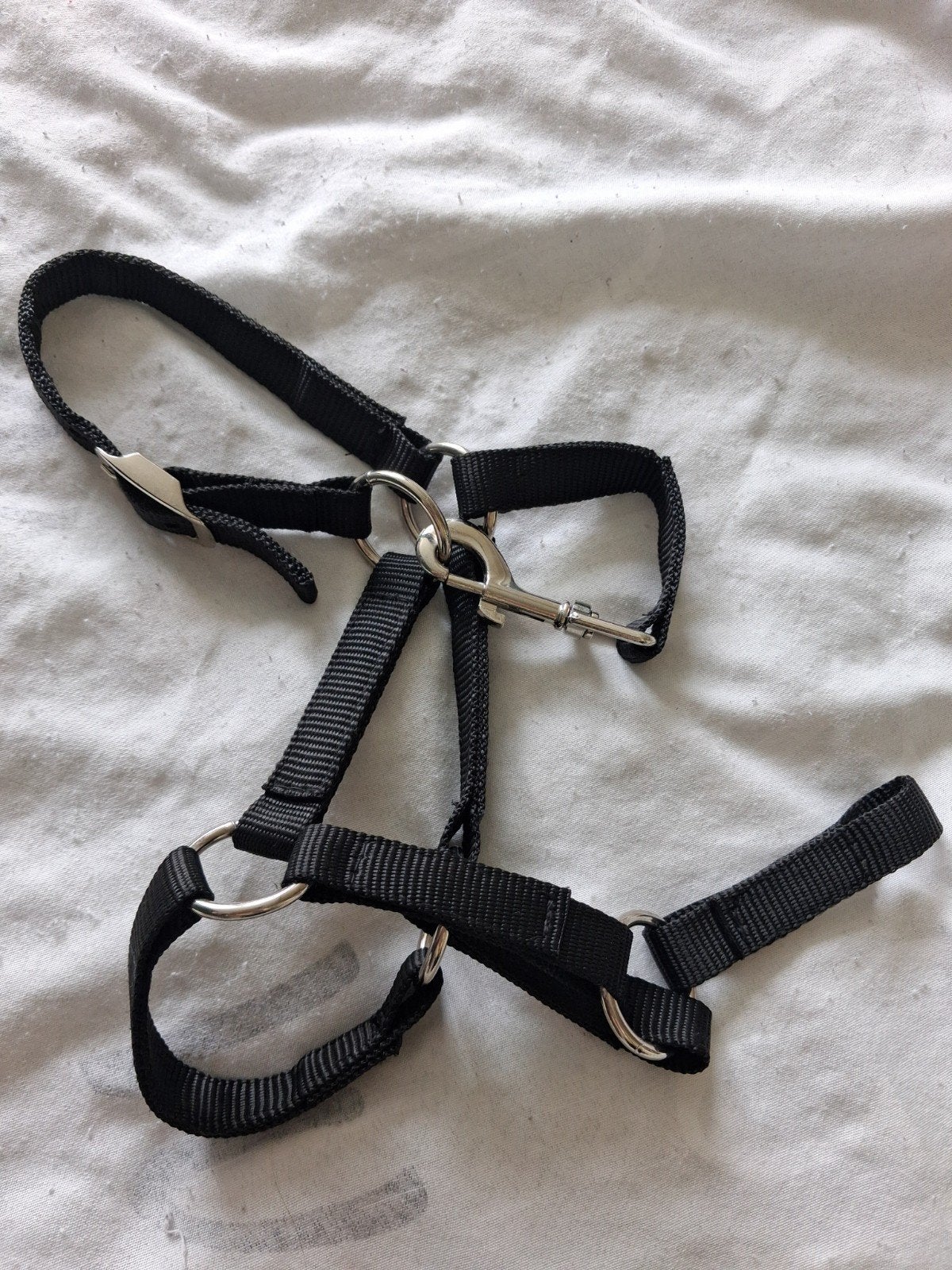 Voor je hobby horses stok  paardje, Ophalen of Verzenden, Nieuw