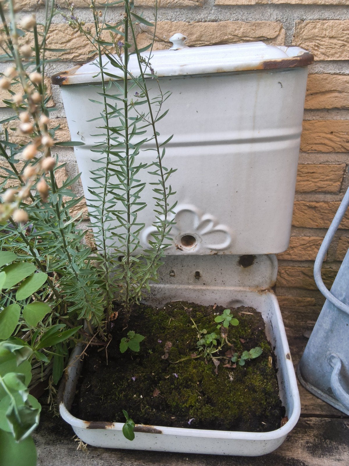 Vintage geëmailleerde plantenbak / bloembak, Ophalen