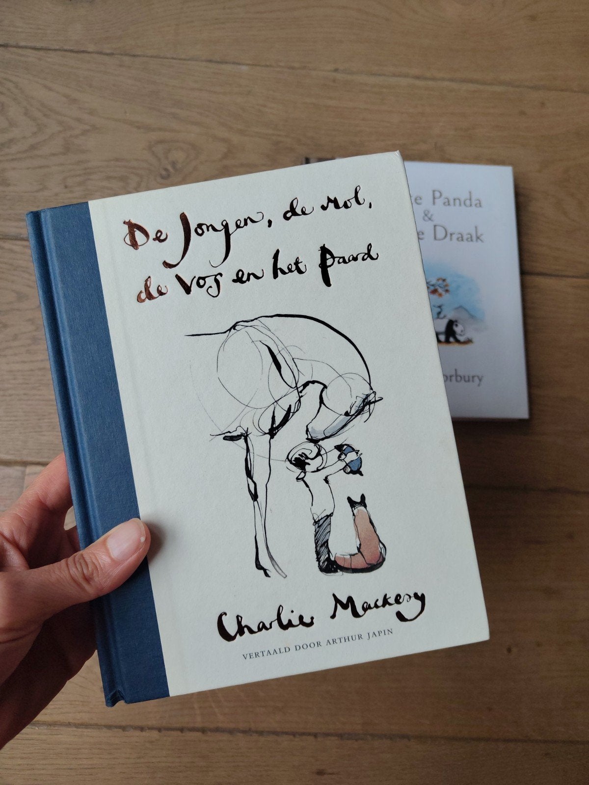 De Jongen, de Mol, de Vos en het Paard en Grote panda, Ophalen of Verzenden, Zo goed als nieuw, Charlie Mackesy, James Norbury