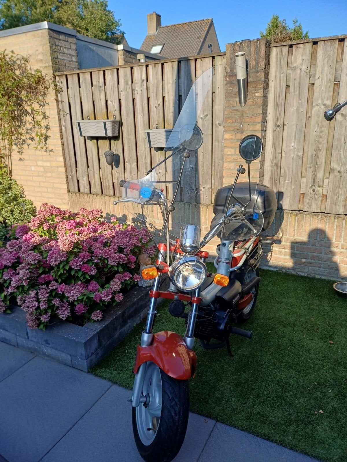 snorbrommer Tomos Youngster, Fietsen en Brommers, Brommers | Tomos, Zo goed als nieuw, Overige modellen, Maximaal 25 km/u, Ophalen