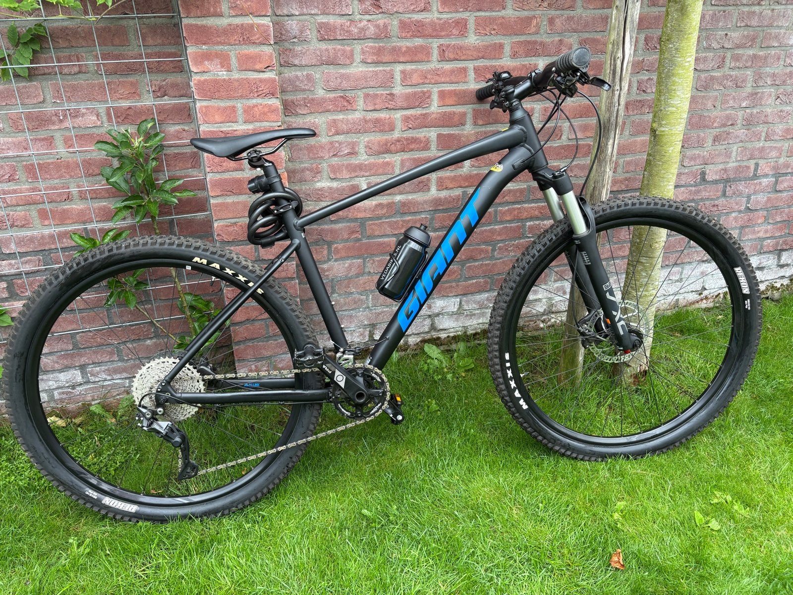 Giant Talon Mountainbike - Maat L, 29 inch wielen, zo goed a, Ophalen, 57 cm of meer, Heren, Giant