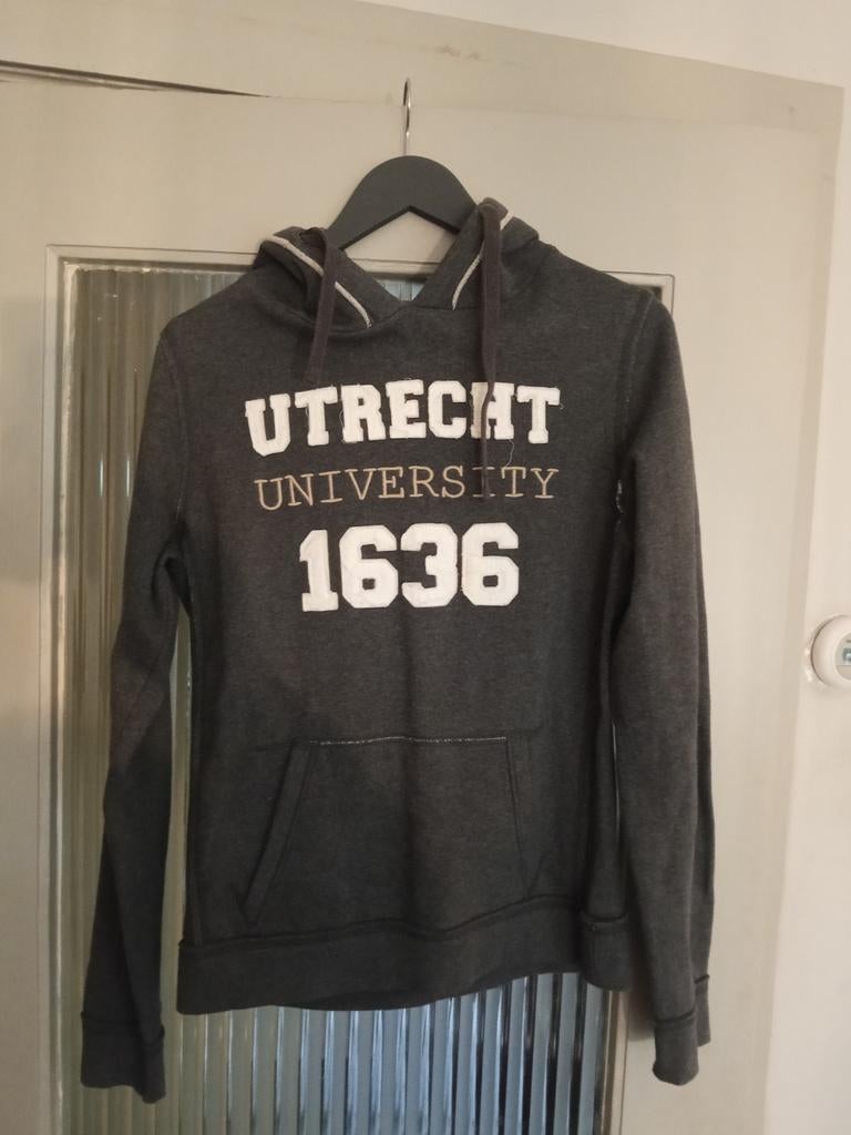 hoodie dames M/L, Ophalen of Verzenden, Nieuw, Maat 42/44 (L), Grijs