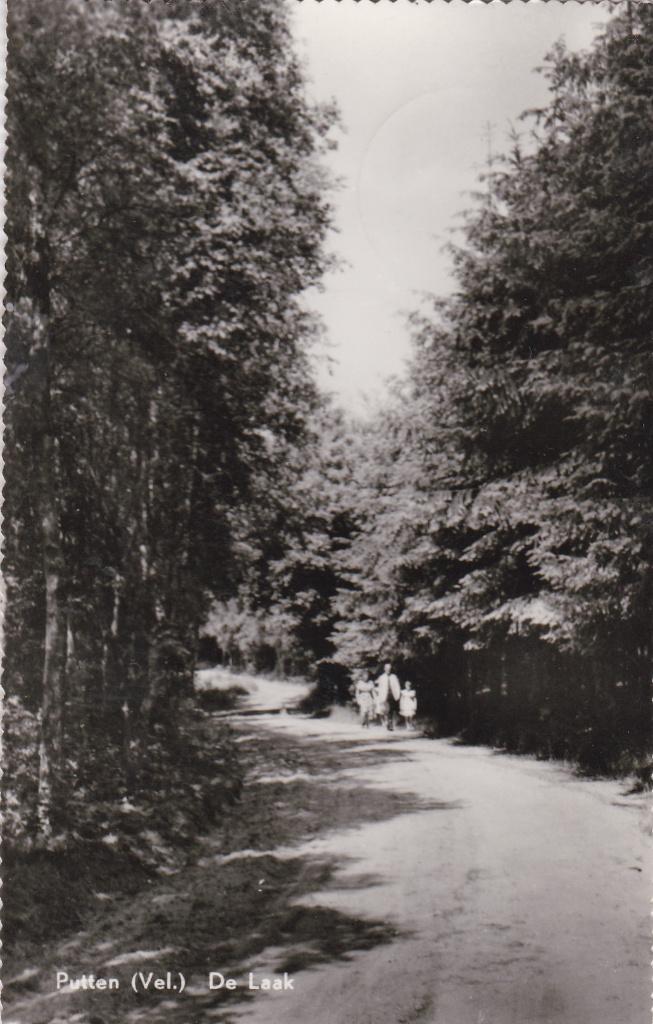 putten  veluwe  de laak, Verzamelen, Ansichtkaarten | Nederland, Ophalen of Verzenden, Voor 1920, Noord-Brabant