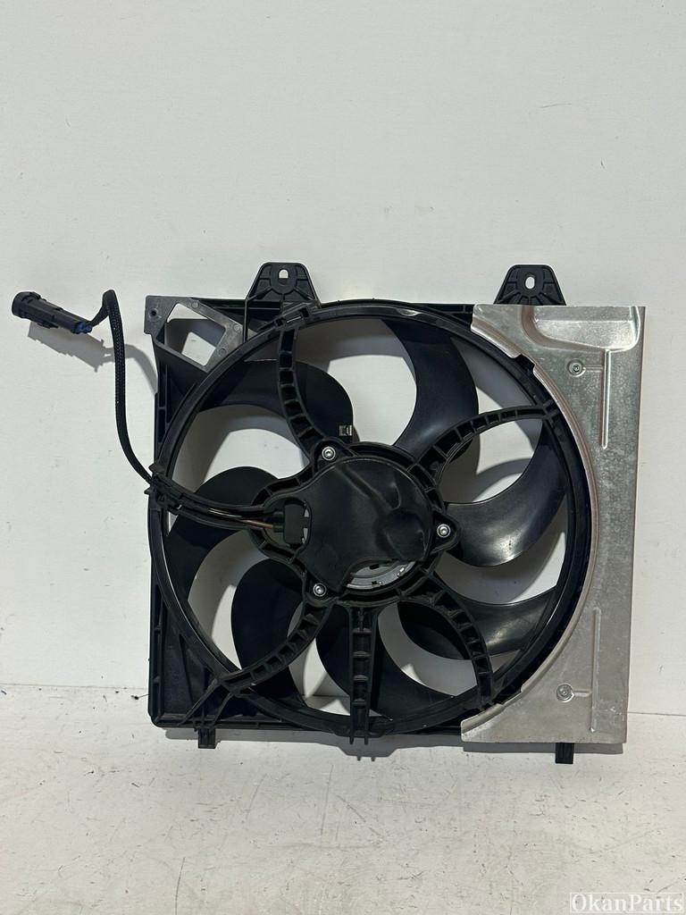 Opel Citroen Peugeot koelvin 9827752980 9838282180