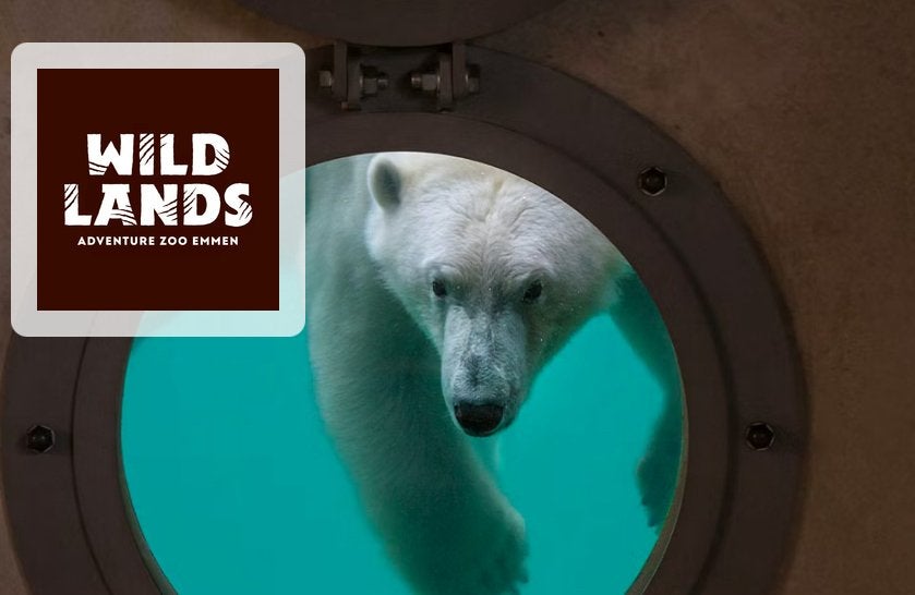 WILDLANDS Adventure Zoo, Drie personen of meer, Ticket of Toegangskaart