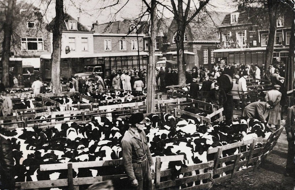 Purmerend  Kalverenmarkt  546, Verzamelen, Ophalen of Verzenden, 1940 tot 1960, Gelopen, Overige soorten