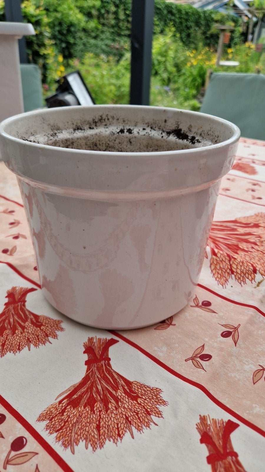 5 overpotten, waaronder 2 voor orchideeën, Ophalen, Gebruikt, Rond, Binnen