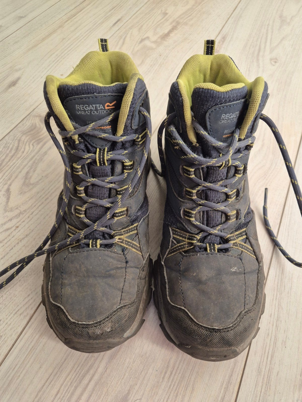 Regatta Holcombe 3 JNR wandelschoenen - Maat 38, Sport en Fitness, Bergsport en Wandelen, Ophalen of Verzenden, Gebruikt, Schoenen