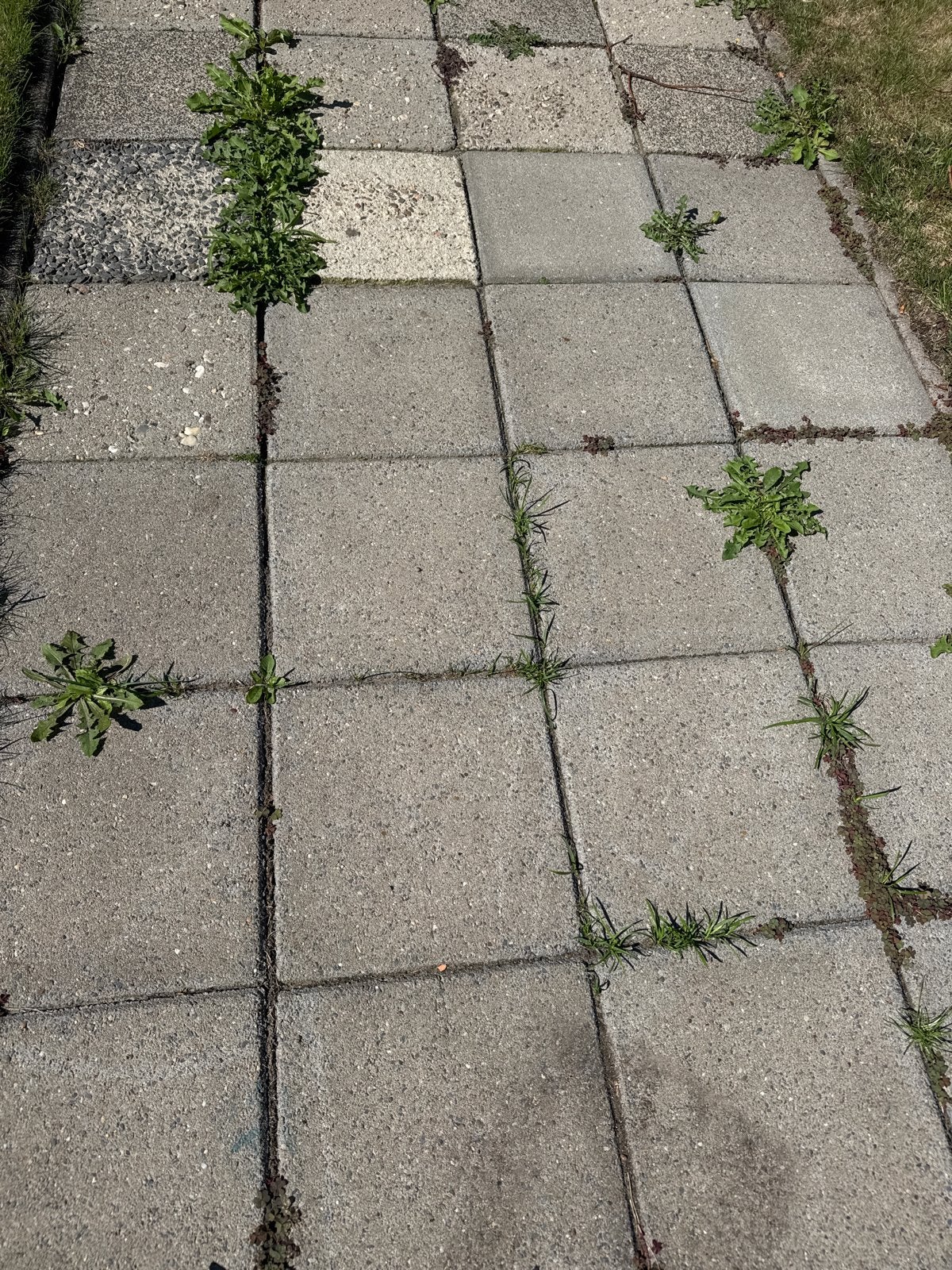 Gebruikte stoeptegels, ca. 15m2 - ideaal voor tuinpad, Tuin en Terras, Tegels en Klinkers, Ophalen, Gebruikt, 10 m² of meer, Beton