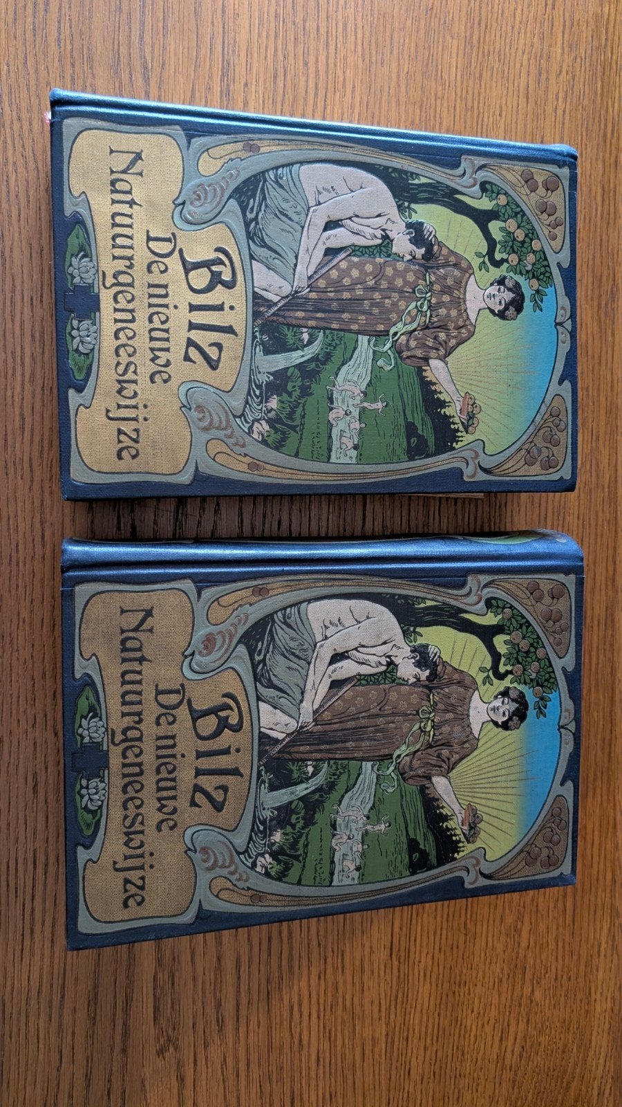 Bilz De Nieuwe Natuurgeneeswijze - Anatomie Boek, Ophalen of Verzenden, F.E. Bilz