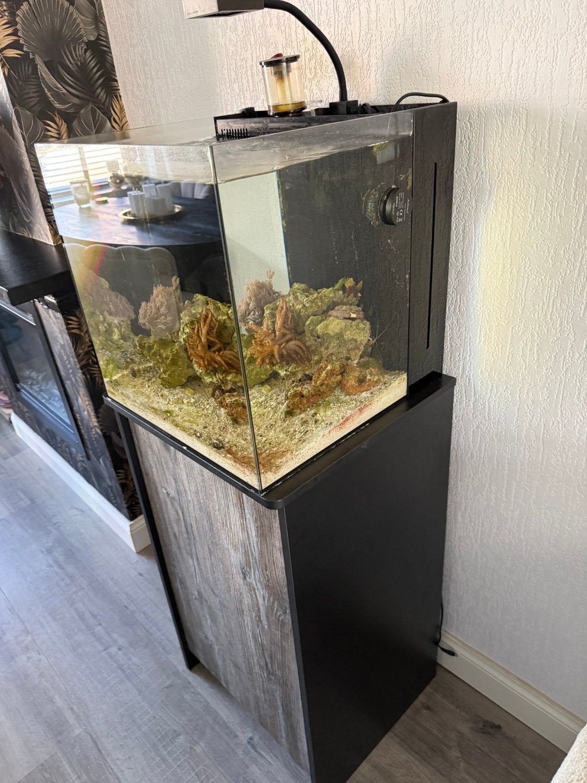 Te koop, Ophalen, Zo goed als nieuw, Leeg aquarium