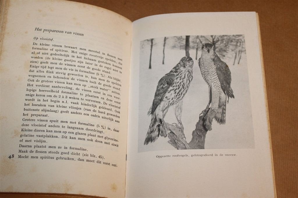 Prepareren — Planten en Dieren Opzetten, Handboek 1953, Ophalen of Verzenden, Gelezen, Overige diersoorten
