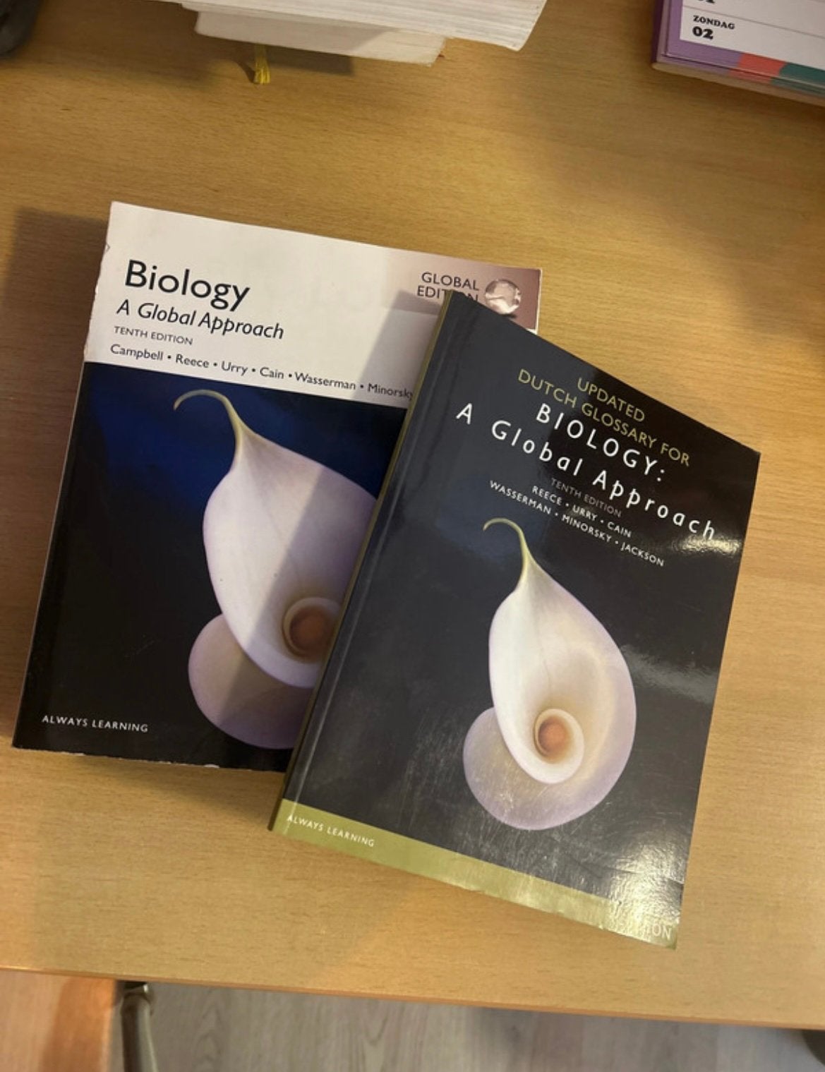 Biology A Global Approach & Dutch Dictionary, Boeken, Ophalen, Beta, Zo goed als nieuw, HBO