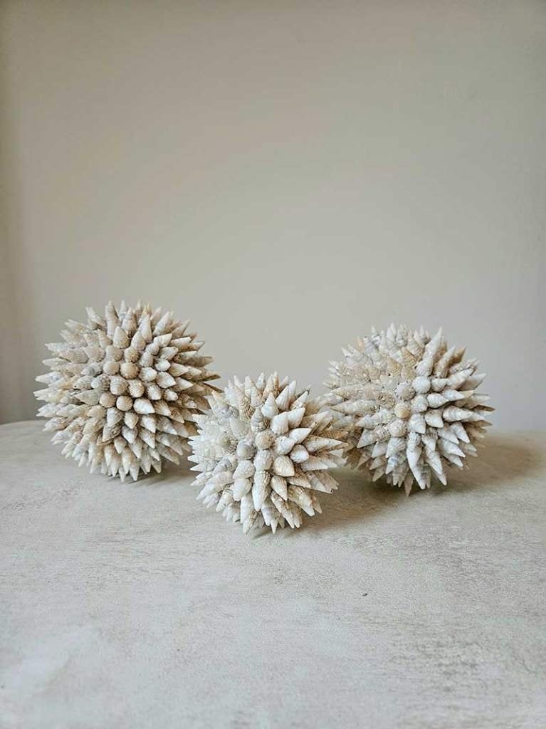 Schelpen decoratie bol 8 uit Bali, Ophalen of Verzenden, Overige typen, Overige materialen, Tropical home