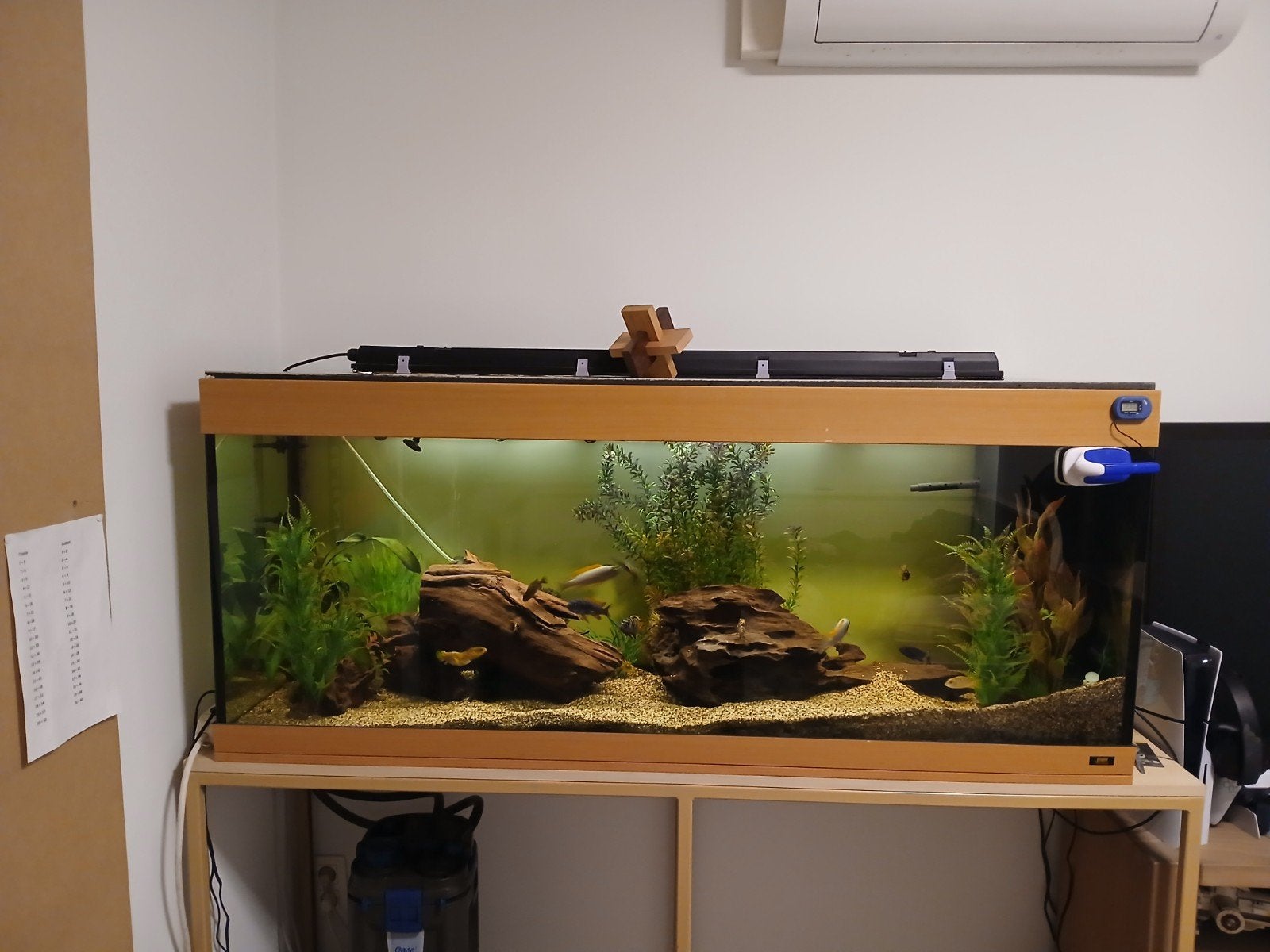 Juwel aquarium, Ophalen, Gevuld zoetwateraquarium, Juwel, Inclusief vissen