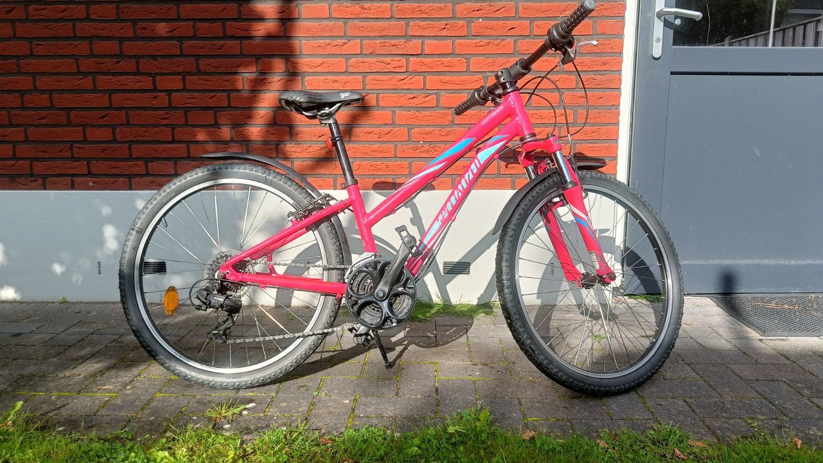 Fiets: Specialized Meiden Mountainbike 21 versnellingen roze, Fietsen en Brommers, Gebruikt, Velgrem, Handrem, Specialized