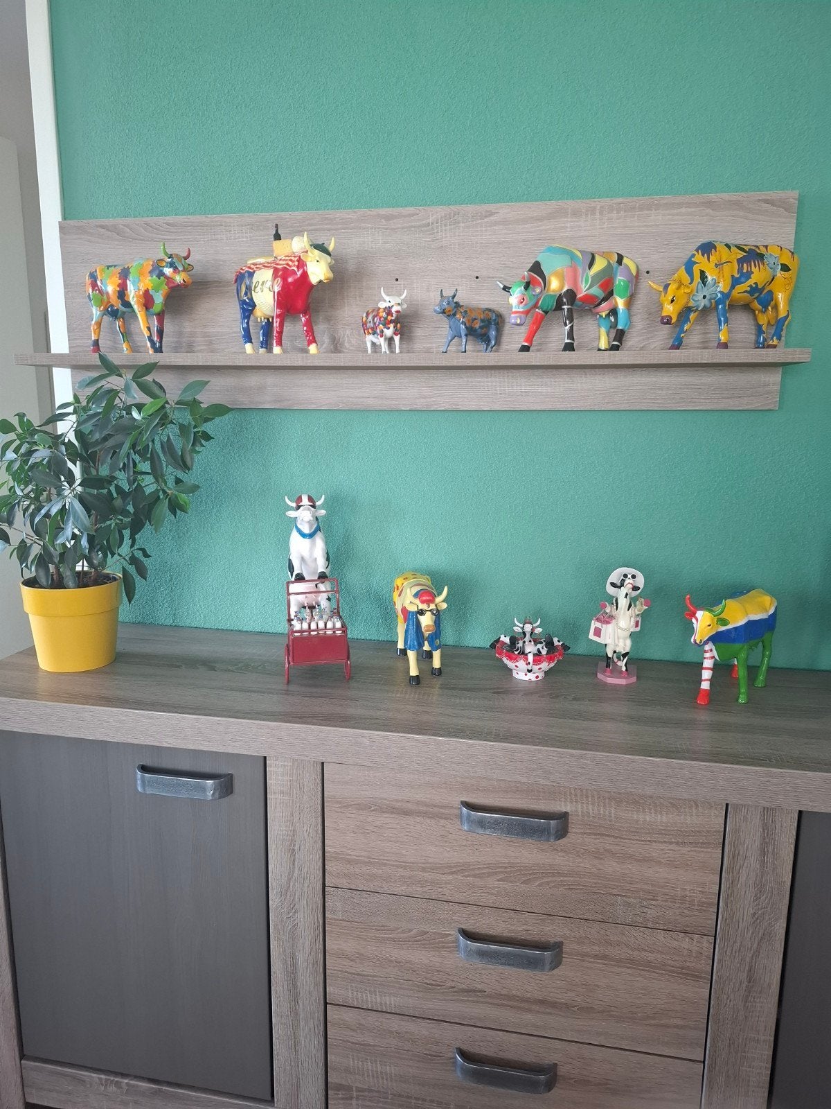 koeien collectie, Ophalen