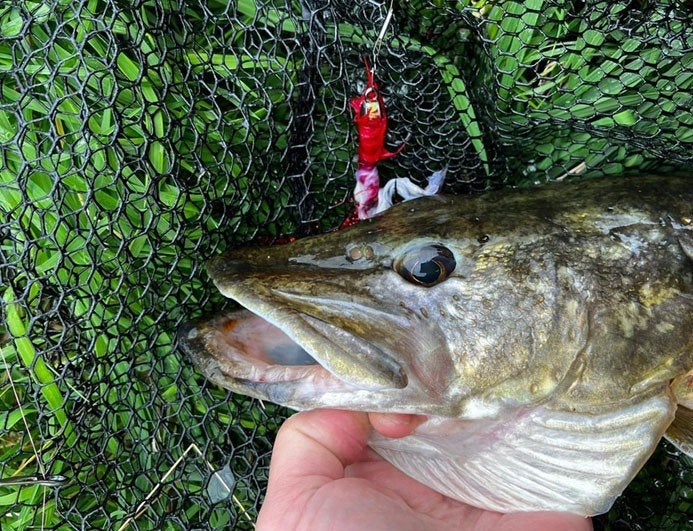 Ultra Light Baars / Snoekstreamers met dubbel zonkerstaartje, Ophalen, Nieuw, Complete set