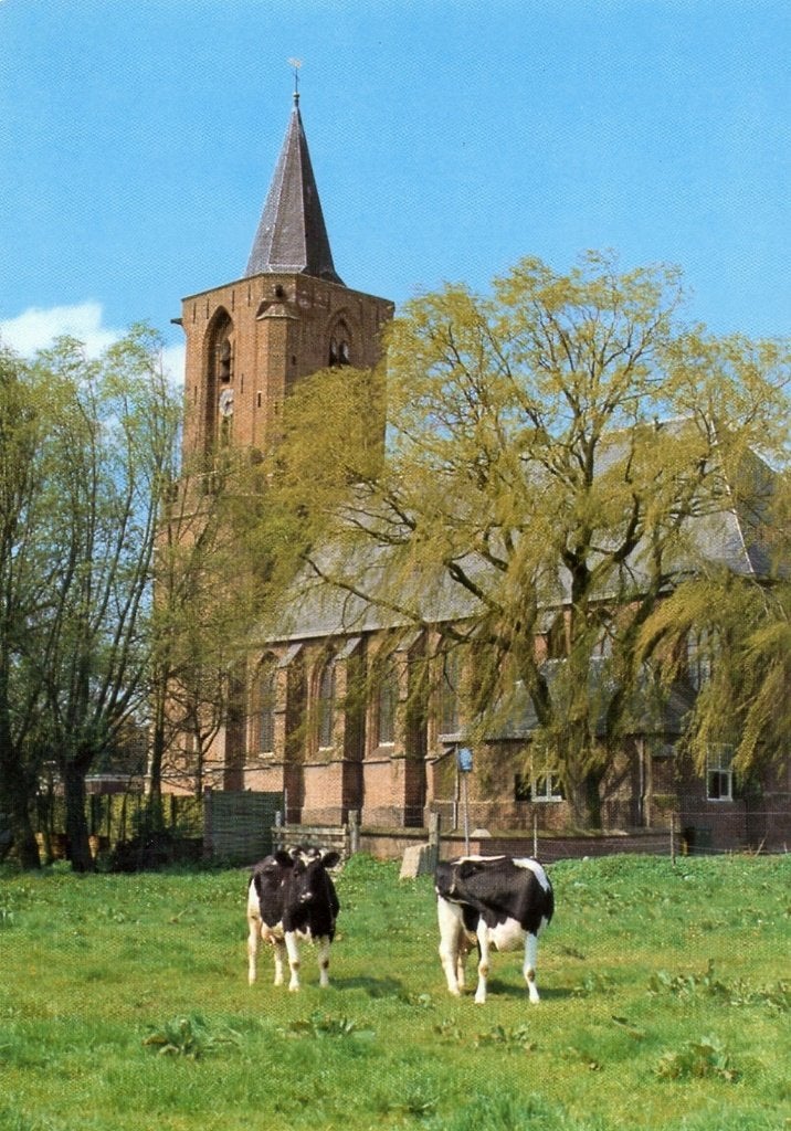 BUNSCHOTEN Ned. Herv. Kerk met Koeien, Verzenden, 1980 tot heden, Ongelopen, Utrecht