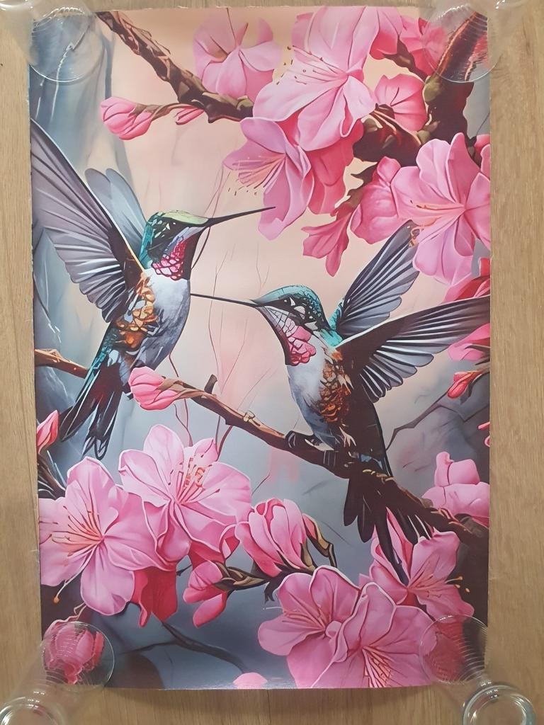 Nieuwe canvas poster 40x60, Ophalen of Verzenden, Nieuw
