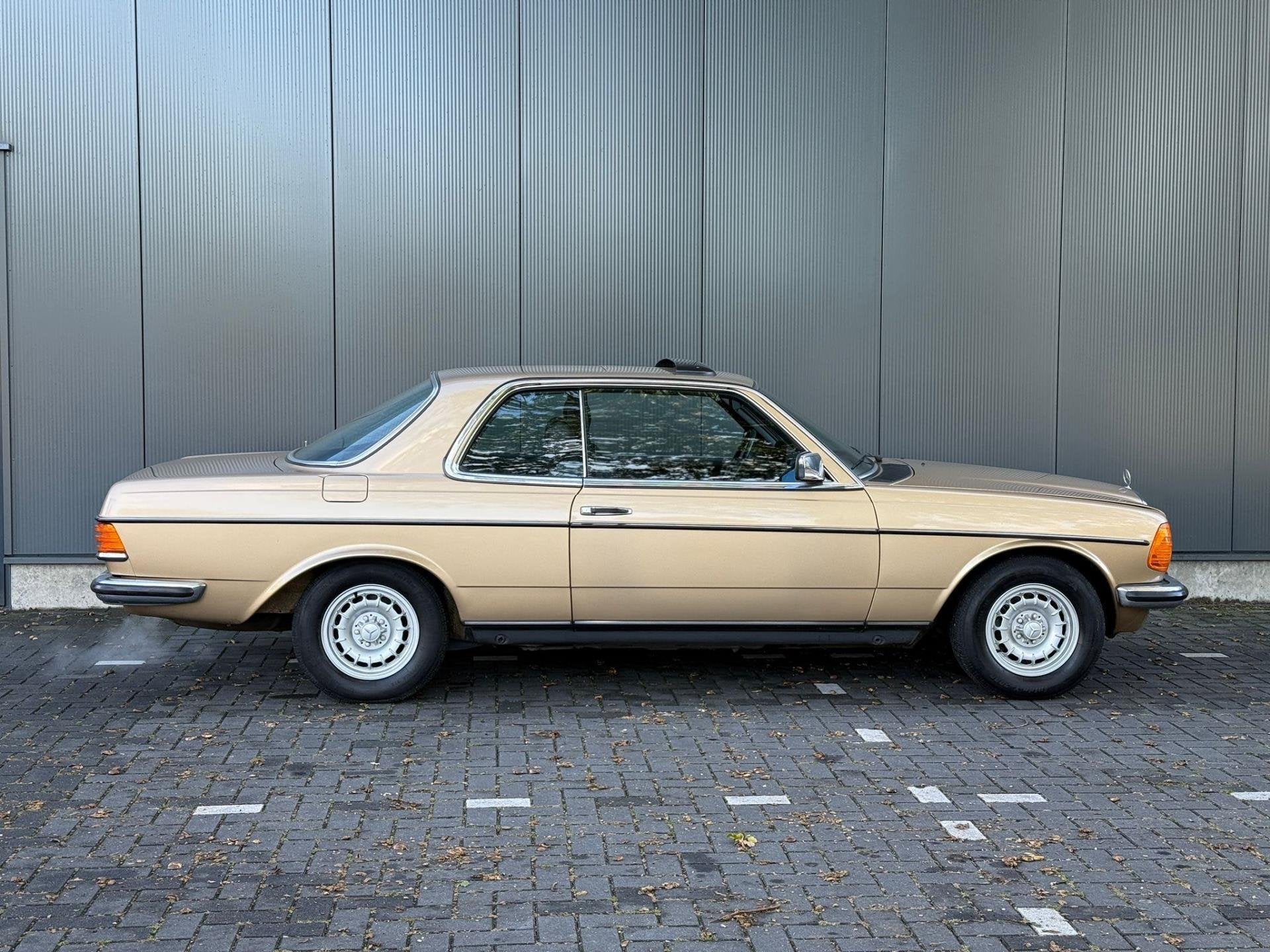 Mercedes-Benz 200-280 (W123) 230 CE, foto 2