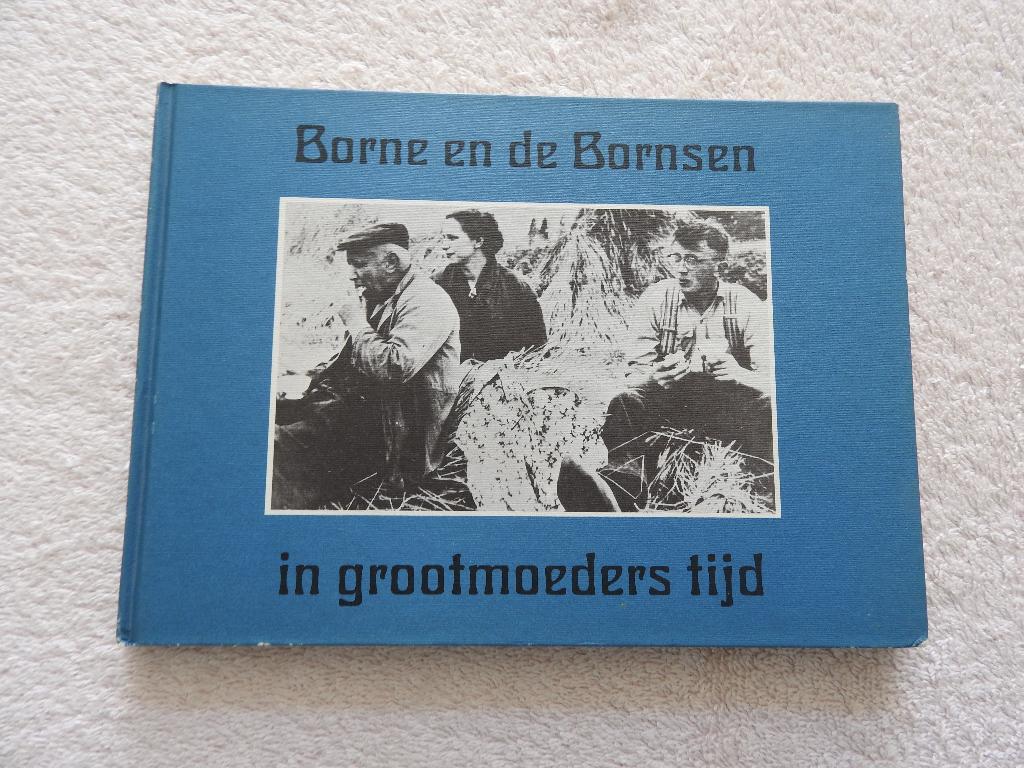 Borne en de Bornsen in grootmoeders tijd - In oude ansichten, Boeken, Geschiedenis | Stad en Regio, Ophalen of Verzenden, Gelezen