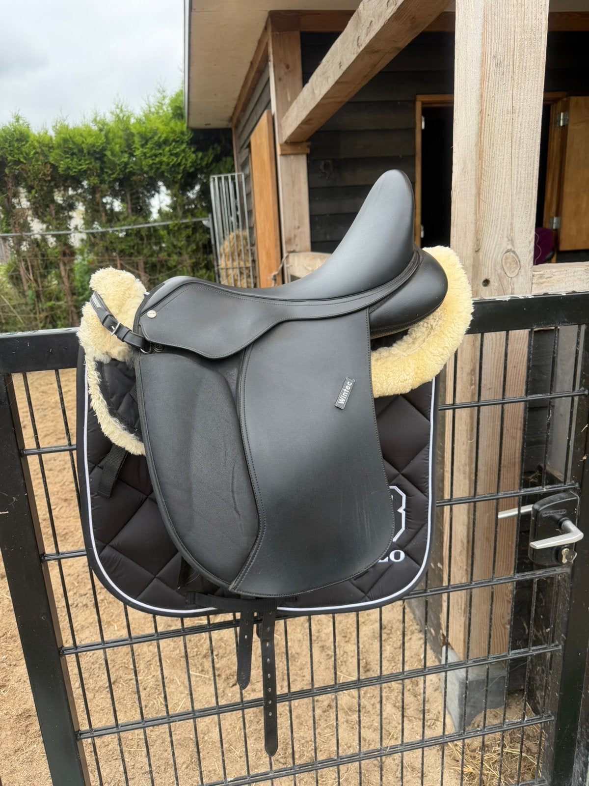 Wintec 500 dressuur 17,5 inch, Dieren en Toebehoren, Ophalen, Zo goed als nieuw, Dressuur