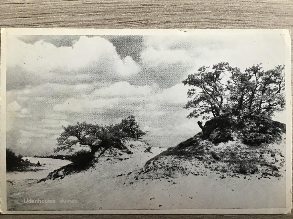 Udenhout Udenhoutse Duinen ca 1950, Verzamelen, Ansichtkaarten | Nederland, Verzenden, 1940 tot 1960, Gelopen, Noord-Brabant