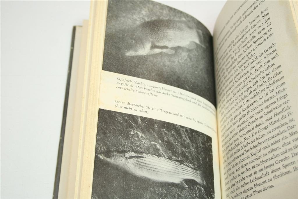 Unterwasserjagd — James Aldridge, Vintage Boek 1958, Ophalen of Verzenden, Gelezen, Overige onderwerpen