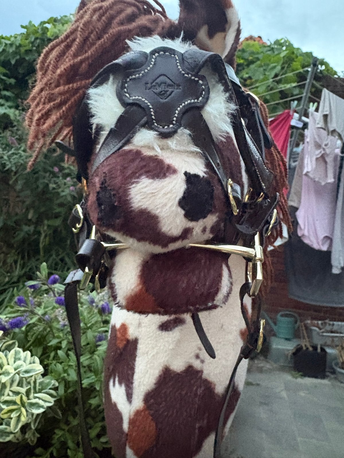Hobbyhorse met hoofdstel - Bruin gevlekt, Ophalen, Gebruikt, Jongen of Meisje