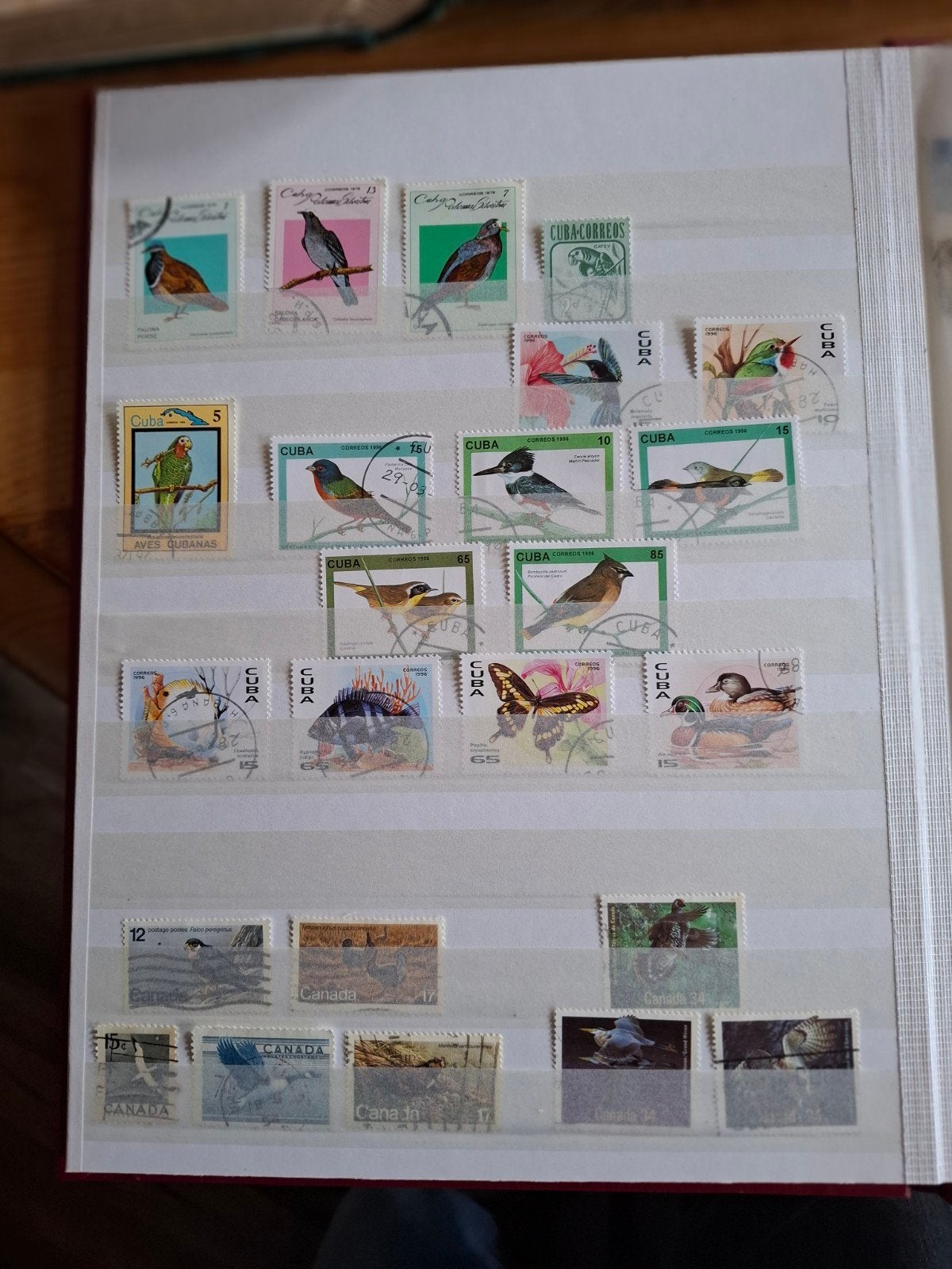 Prachtige verzameling vogel postzegels, Ophalen of Verzenden