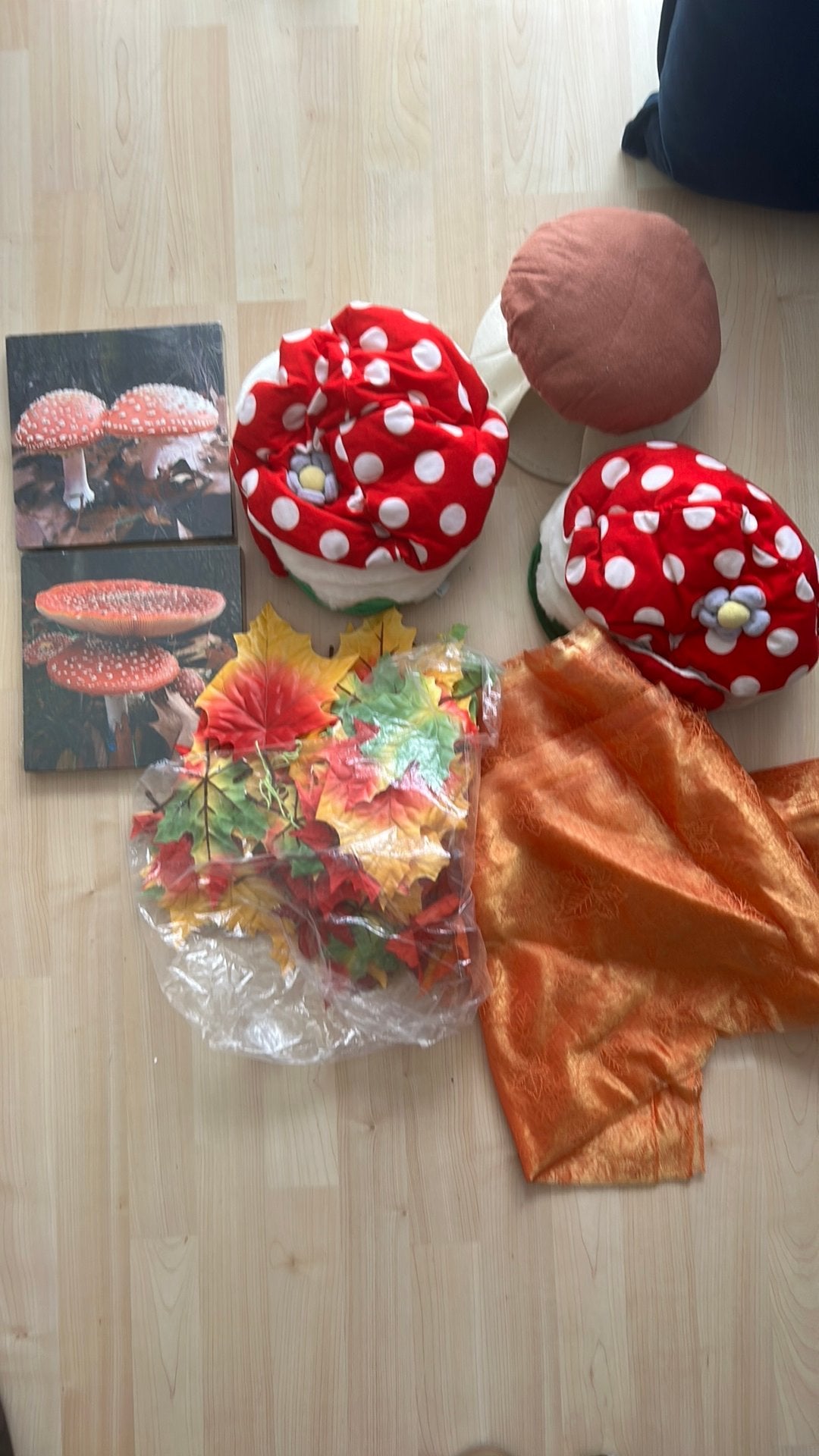 Herfst tafel spullen!!, Ophalen, Gebruikt