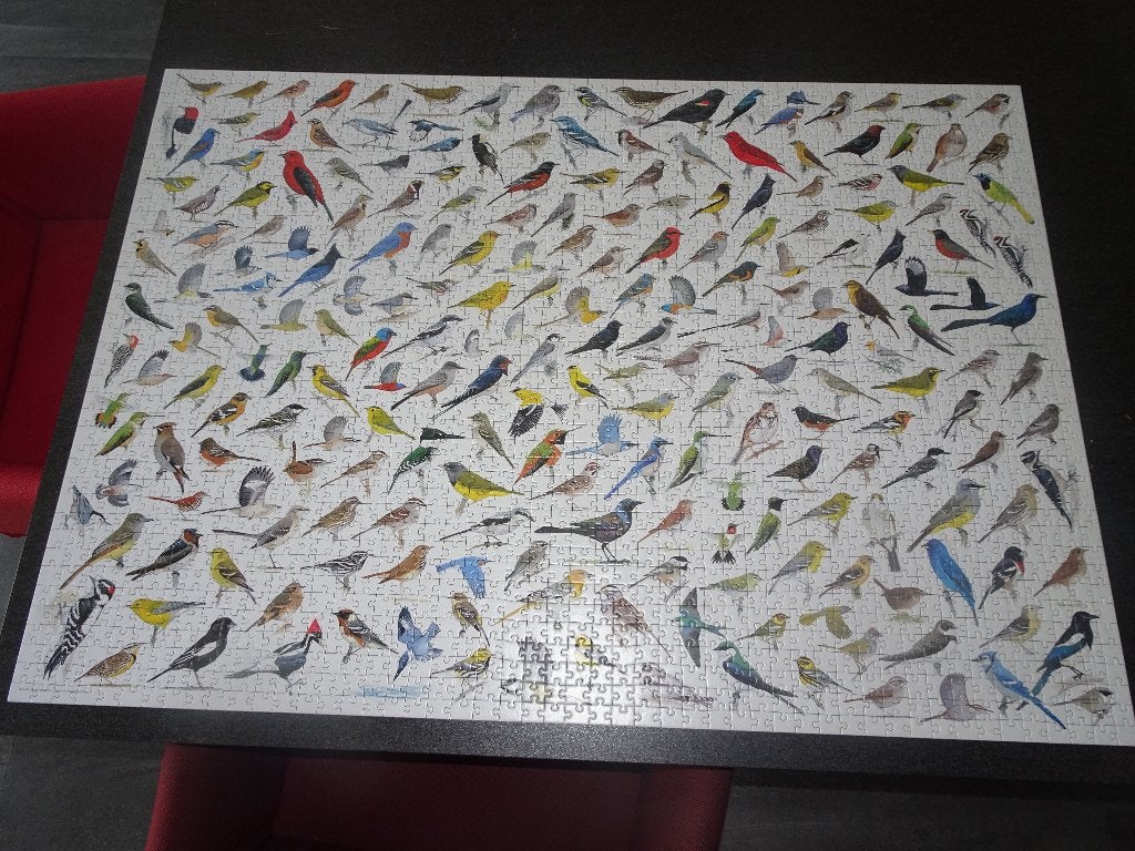 Legpuzzel Vogels (2000 stukjes), Ophalen of Verzenden, Meer dan 1500 stukjes, Zo goed als nieuw, Legpuzzel