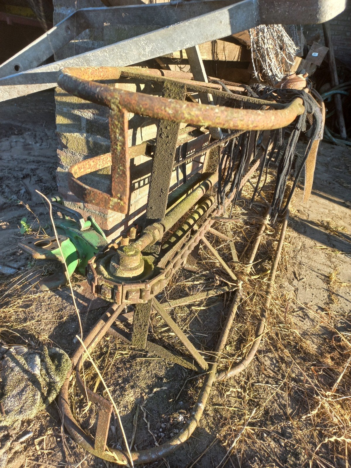 Transporteur, Mannelijk, Schaap