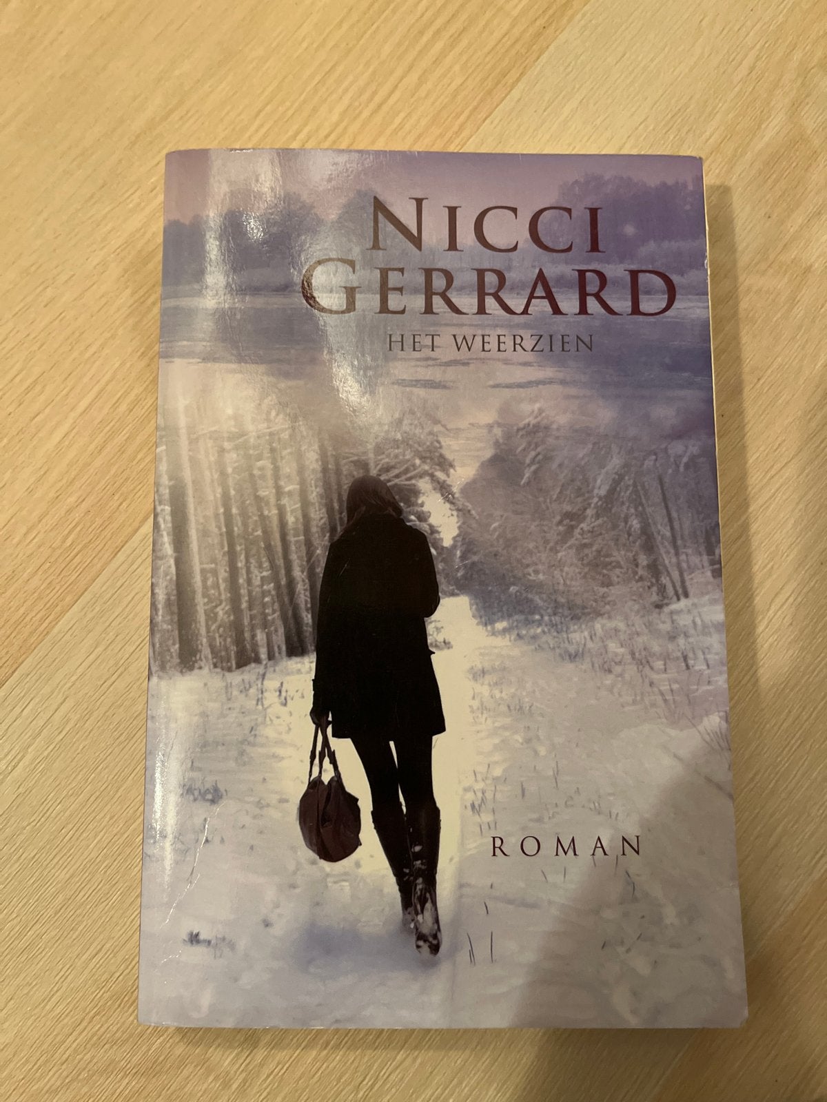 Het Weerzien - Nicci Gerrard (Roman), Ophalen of Verzenden, Gelezen, Nederland