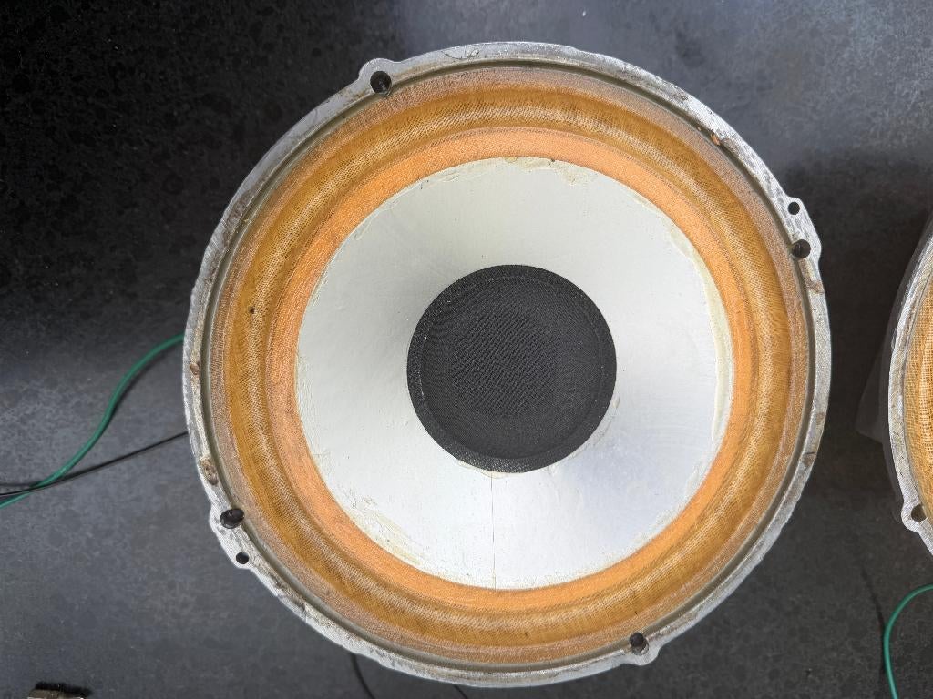 Leak woofers Goede conditie (gebruikt in 2030) (2x), Overige merken, Gebruikt, Ophalen of Verzenden, Minder dan 60 watt