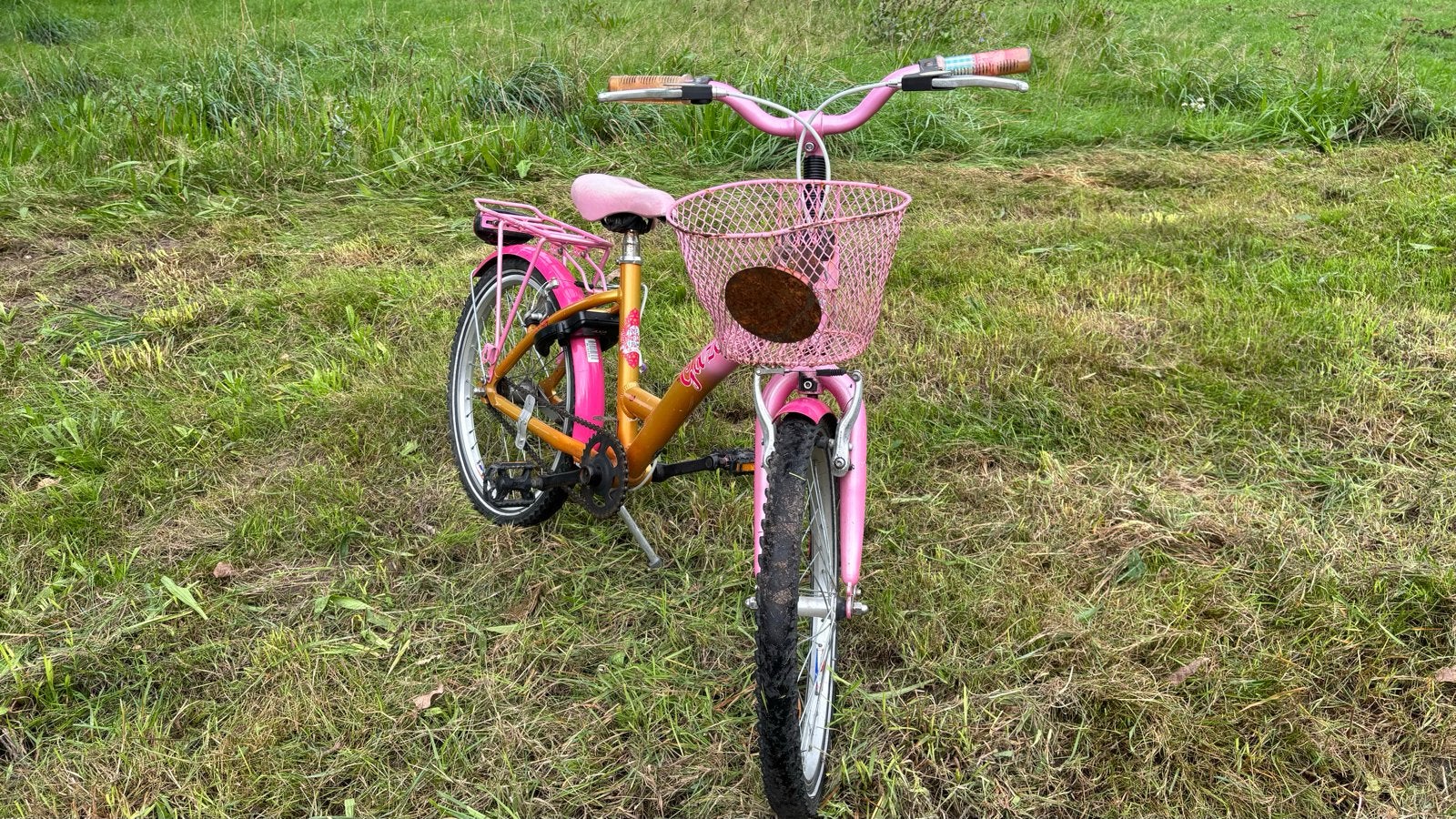 Gazelle kinderfiets 20 inch - Roze/Goud, Ophalen, Gebruikt, Velgrem, 16 tot 20 inch