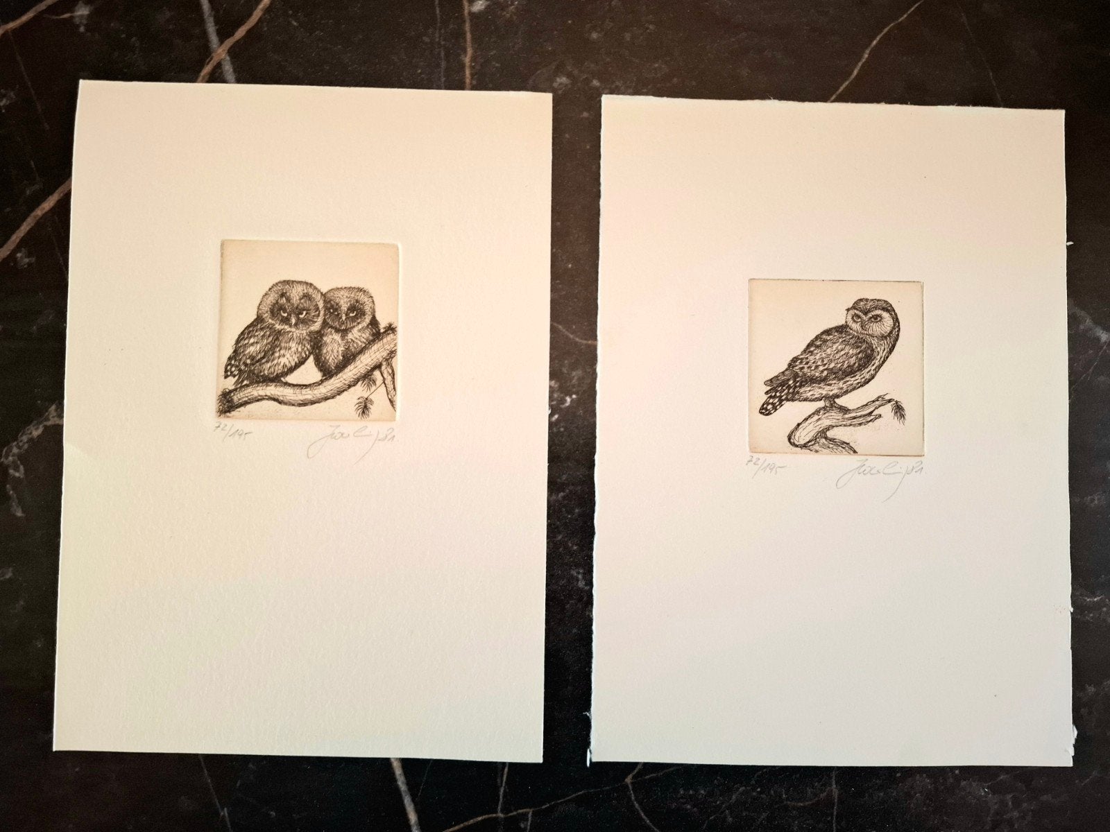 2 gesigneerde en genummerde etsen van uilen, Antiek en Kunst, Ophalen of Verzenden, Flora en Fauna, Genummerd, 1950 - 1999