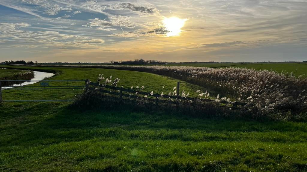 Woningzoekende, Huizen en Kamers
