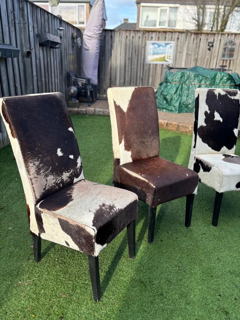 Eetkamer stoelen 4 stuks van echte koeienhuid, Huis en Inrichting, Stoelen, Ophalen, Gebruikt, Overige kleuren, Leer