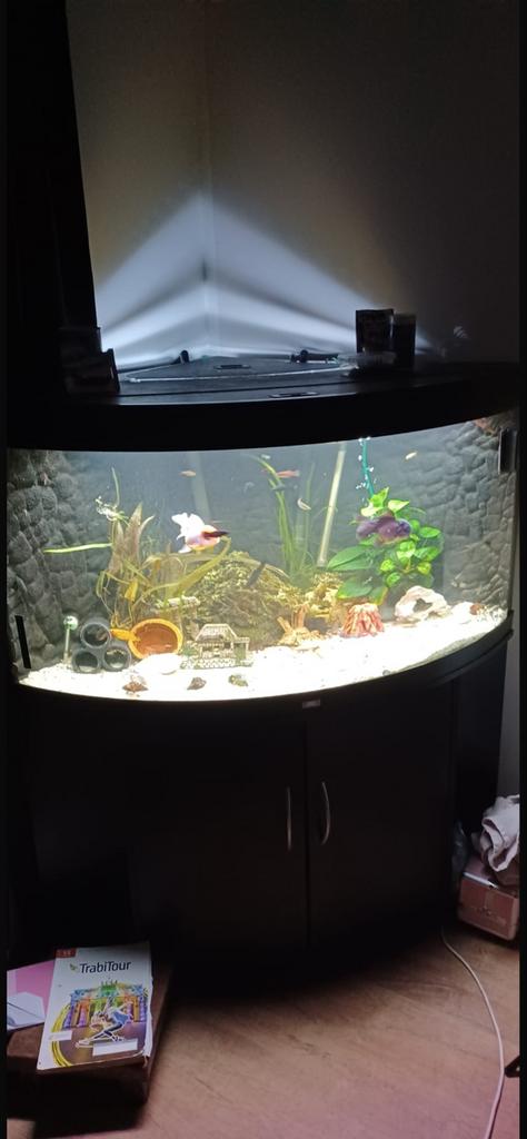 Aquarium, Dieren en Toebehoren, Ophalen, Zo goed als nieuw, Leeg aquarium